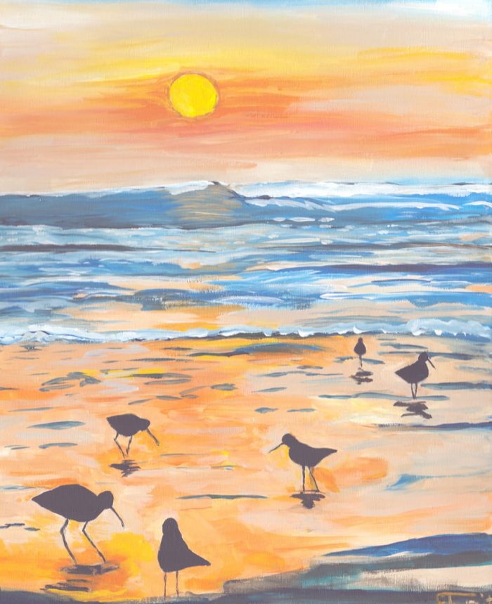 Landscape of Shore Birds at the Ocean