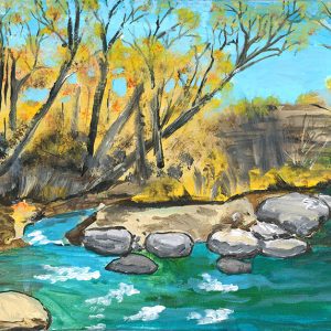 Trout Stream