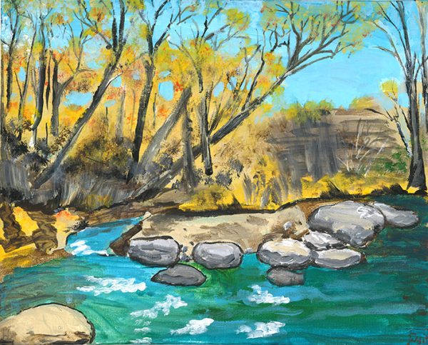 Trout Stream